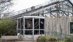 Pohled na vyhoelý pavilon opic v nmecké zoo.
