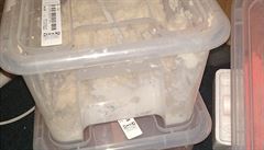 Dal�í ze snímk� získaných p�i operaci NPC.