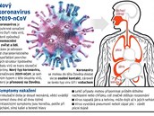 Nový typ koronaviru2019-nCoV.
