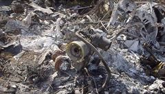 Trosky helikoptéry, ve které zahynul Kobe Bryant a dal�ích osm lidí.