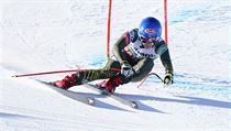 Mikaela Shiffrinov doasn peruila kariru, zemel j otec