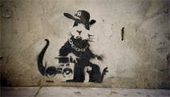 Krysa - jeden z klasických motiv� anonymního streetartového um�lce Banksyho....