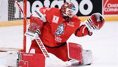 Branká Roman Will chytá jednu z finských stel