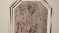 Da Vinciho skici koní.