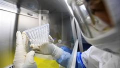 Japonsko ohlásilo první smrt kvůli koronaviru. Jde o druhou oběť nákazy mimo Čínu