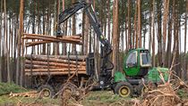 Kácení lesa na pozemku pro výstavbu továrny Tesly v Německu.