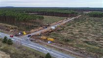 Kcen lesa na pozemku pro vstavbu tovrny Tesly v Nmecku.