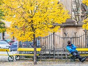 Teplé poasí i v zim, pak zase sníh. Stídání ty roních období zejm zmizí.