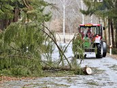 Traktor odstrauje popadané stromy ze silnice.