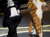 James Corden a Rebel Wilsonov si dlali srandu z muziklu Cats. Oscai 2020.