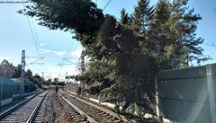 Popadané stromy na nkterých místech republiky komplikovaly vlakovou dopravu.