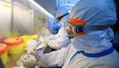 Kam se může rozšířit koronavirus? Vědci to zjistili podle letů z Wu-chanu
