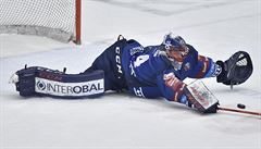 Branká� Plzn� Dominik Frodl.
