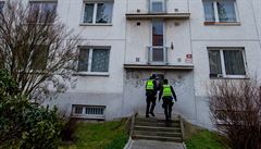 Dít� s t�kým zran�ním bylo p�i v�domí, �ena utrp�la velmi vá�né poran�ní hlavy...