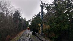 Spadlý strom na koleje.