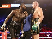 Deontay Wilder a Tyson Fury pi své odvet.