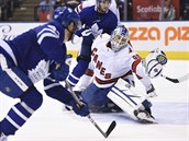 Dvaatyicetiletý rolba David Ayres si zachytal v zápase NHL.