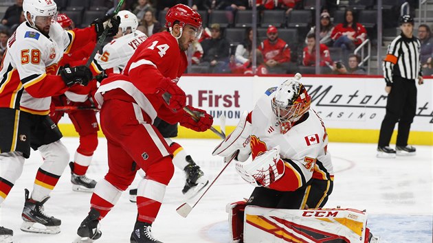 eský gólman David Rittich kryl na led Detroitu 27 stel. Calgary tak nakonec...