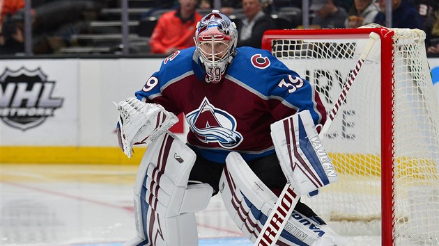 Pavel Francouz v brance Colorado Avalanche (39).