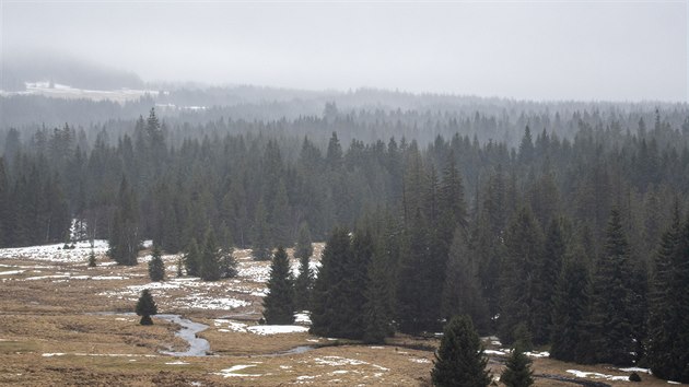 Bo�ídarské ra�elini�t� a okolí.