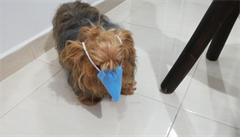 Kadoroní pipomínka toho, e moje rodina je tak trochu ílená. Moji...