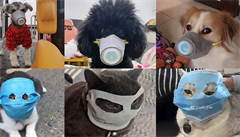 Lidé se snaí chránit své mazlíky.