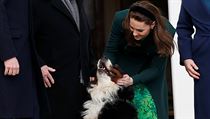 Vévodkyně Kate se vítá se psem irského prezidenta.