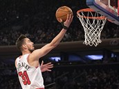 Basketbalista Tomá Satoranský v dresu Chicago Bulls.