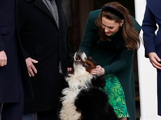 Vvodkyn Kate se vt se psem irskho prezidenta.