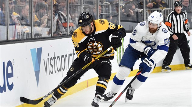 David Pastrák vyhlíí play-off hokejové NHL.