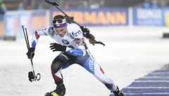 Závod Svtového poháru v biatlonu (sprint 10 km mui) v Novém Mst na Morav....