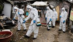 V Jižní Koreji je 516 nových případů koronaviru, nové případy hlásí Japonsko a Německo
