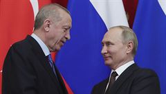 Plnoc nastane v syrskm Idlibu pm, dohodli se Erdogan s Putinem na estihodinov schzce