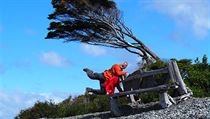 Že v Patagonii bylo šíleně větrno snad ani nemusím zmiňovat. Stromy tady o tom...