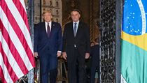 Trump se o vkendu seel s prezidentem Brazlie Jairem Bolsonarem, u kterho se...