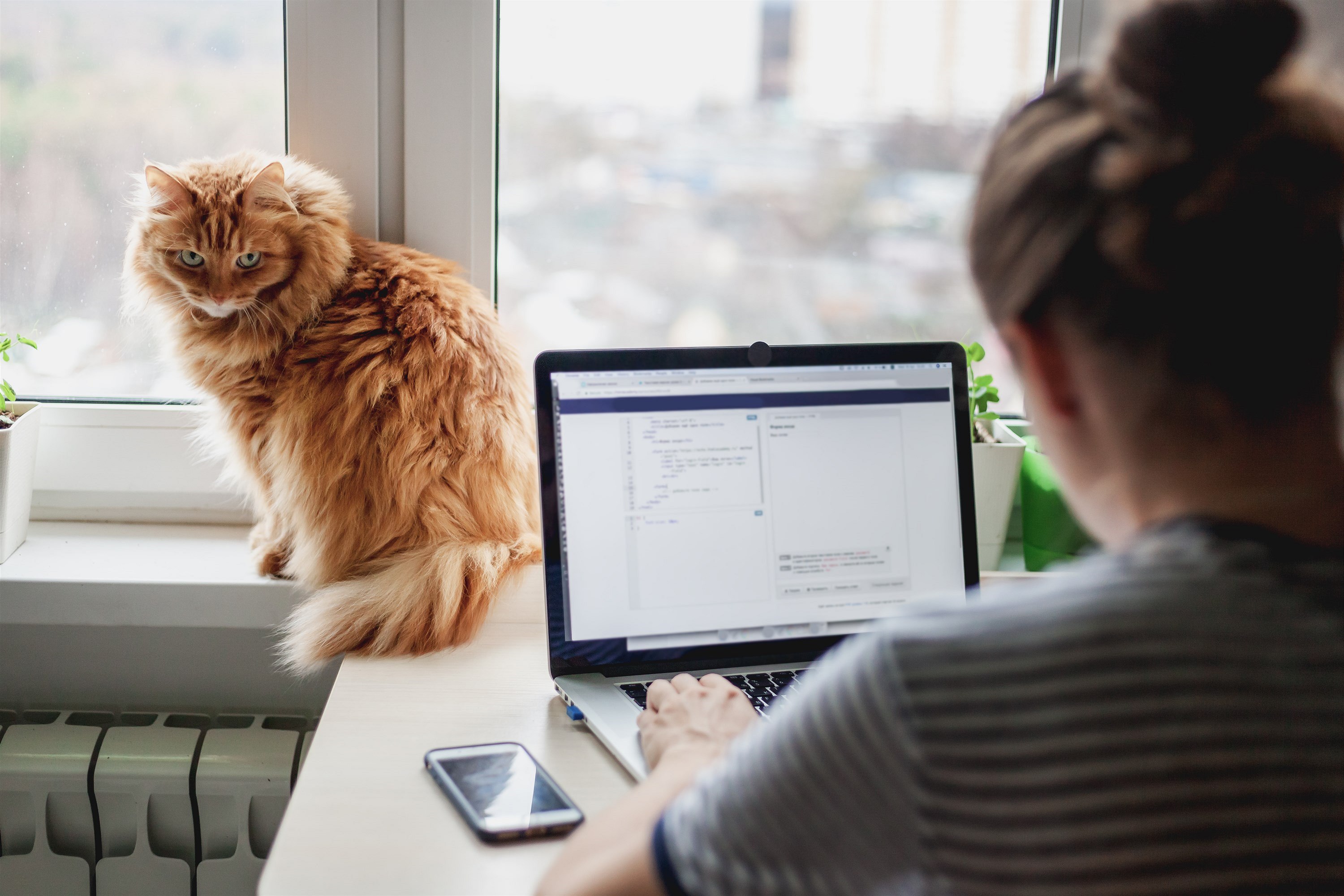 Home office (ilustra�ní foto)