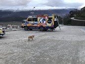Tatra kolem svta 2. Toulaví psi v Albánii nkolikrát neváhali zuiv...