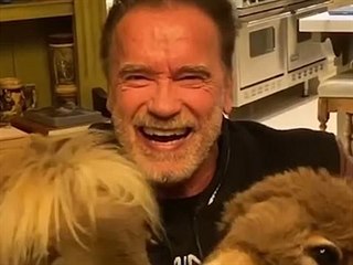 Arnold Schwarzenegger a jeho zvata.
