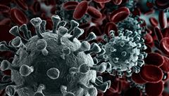 Nachlazení může z těla vypudit koronavirus, zjistili vědci. Některé viry soutěží o to, kdo zavleče infekci