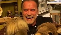 I Terminátor má z viru respekt. Zůstaňte doma, apeluje na fanoušky Schwarzenegger obklopený zvířaty