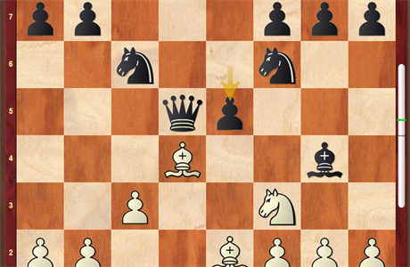 AlphaZero: Revoluce šachového programu a nástup umělé inteligence | Téma |  Lidovky.cz