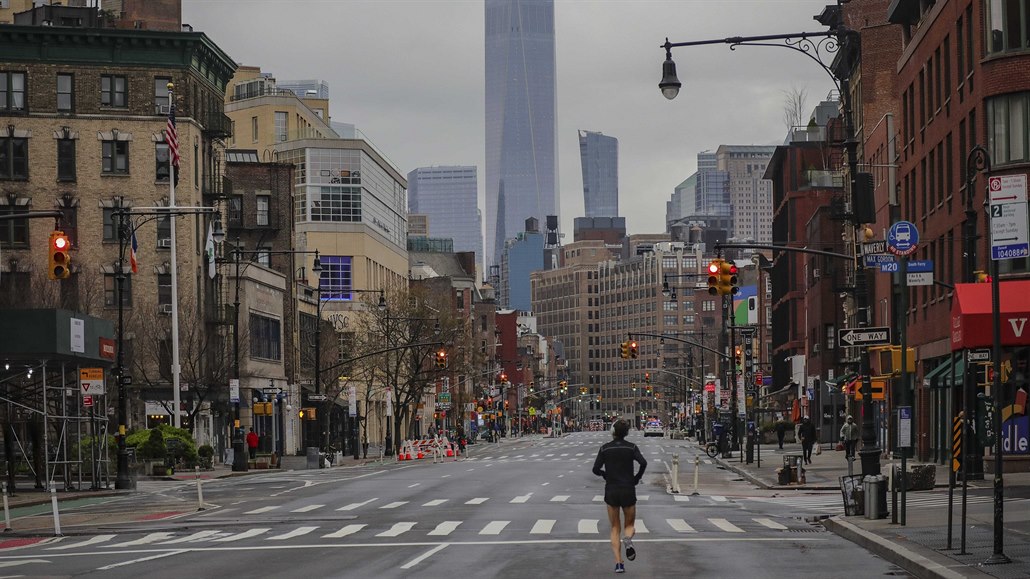 Bec se pohybuje prázdnou 7. avenue ve mst New York.