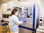 Laborantka pracuje na vyhodnocování vzork na koronavirus v praské Fakultní...