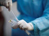Počet vyléčených z nemoci covid-19 se v Česku přiblížil tisícovce, přibyla tři úmrtí