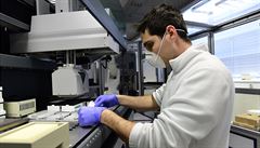 Laboratoř testující vzorky na přítomnost koronaviru.