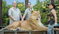 Dokument Tiger King (2020).