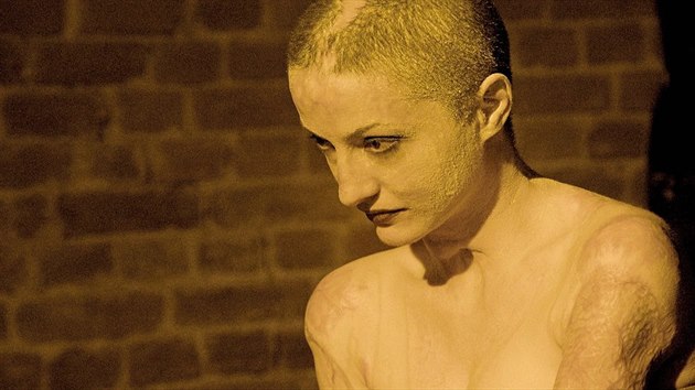 Nevzdat to. P�e�iv�í prokázali obdivuhodnou sílu.