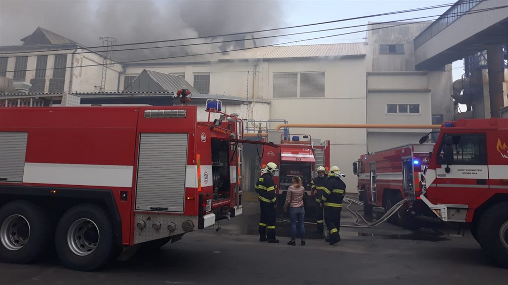 V Duchcově na Teplicku zasahovalo 13. dubna 2020 devět jednotek hasičů u...