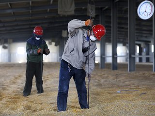 Pracovnci v provincii Liao-ning kontroluj teplotu ve skladiti obil.