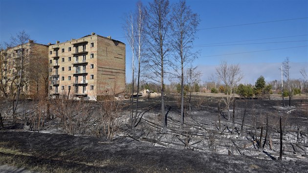 Ukrajinským hasim se ani po více ne týdnu stále nedaí uhasit lesní poár v...